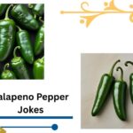 100+ Jalapeno Pepper Jokes That Are Spicy and Hot