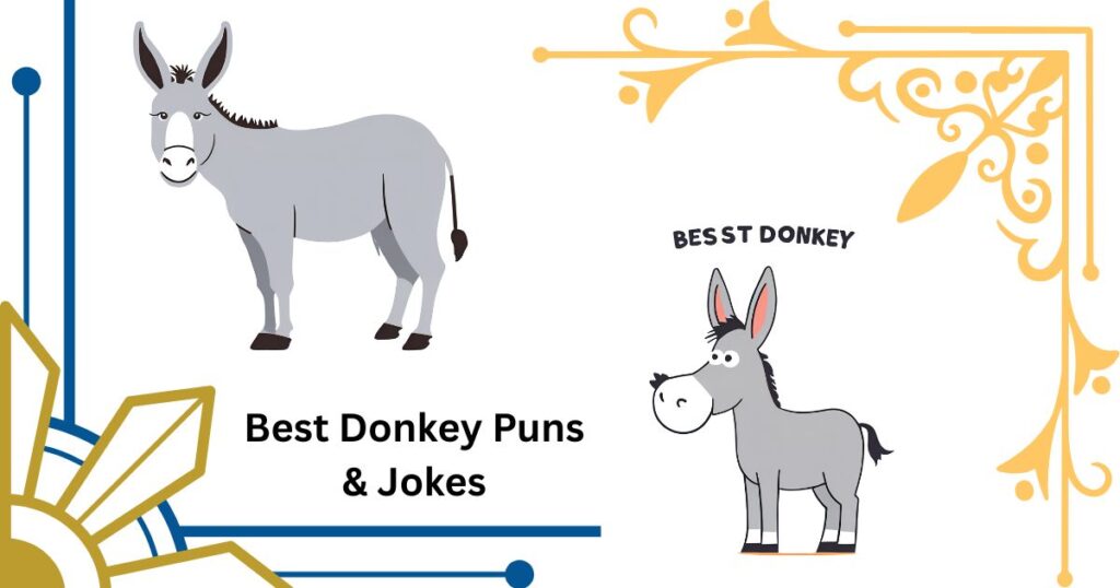 Best Donkey Puns & Jokes to Share with Friends and Family