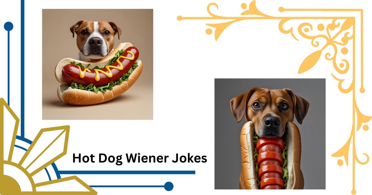 116+ Hot Dog Wiener Jokes That'll Have You Barking with Laughter