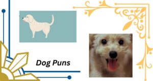 300 Dog Puns (Birthday, Names, Valentines, Christmas, Etc.)