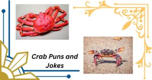 66 Crab Puns and Jokes That Will Get You out of Your Shell
