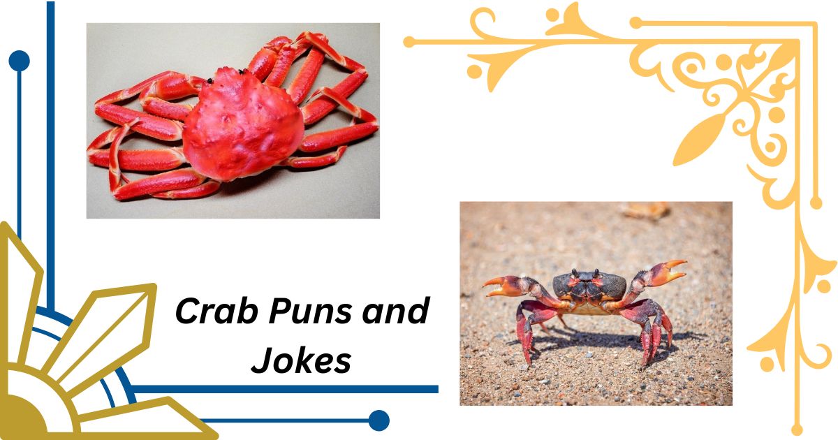 66 Crab Puns and Jokes That Will Get You out of Your Shell