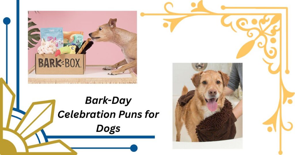 Bark-Day Celebration Puns for Dogs