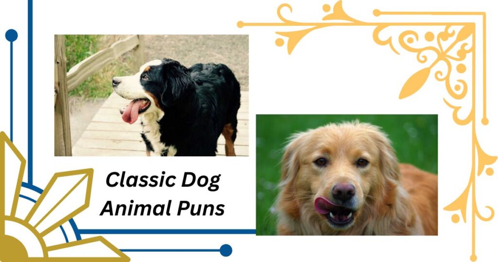 Classic Dog Animal Puns That Will Make You Howl