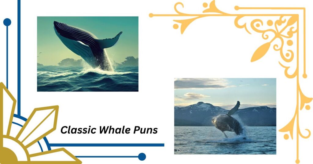 Classic Whale Puns That Never Get Old