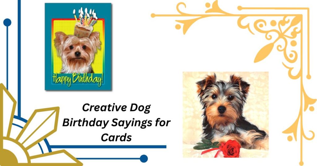 Creative Dog Birthday Sayings for Cards
