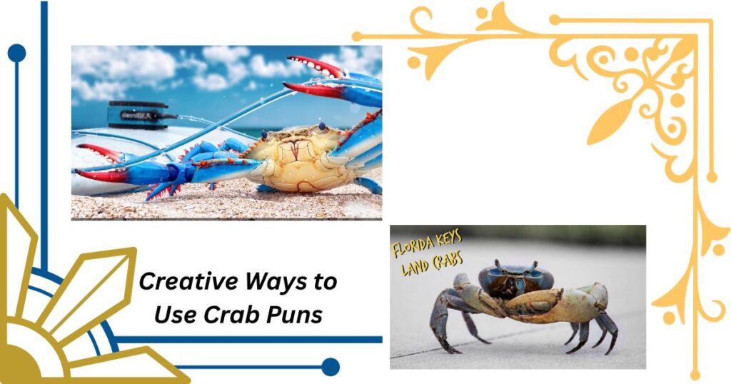 Creative Ways to Use Crab Puns in Everyday Conversation