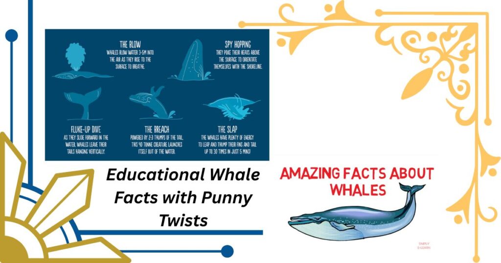 Educational Whale Facts with Punny Twists