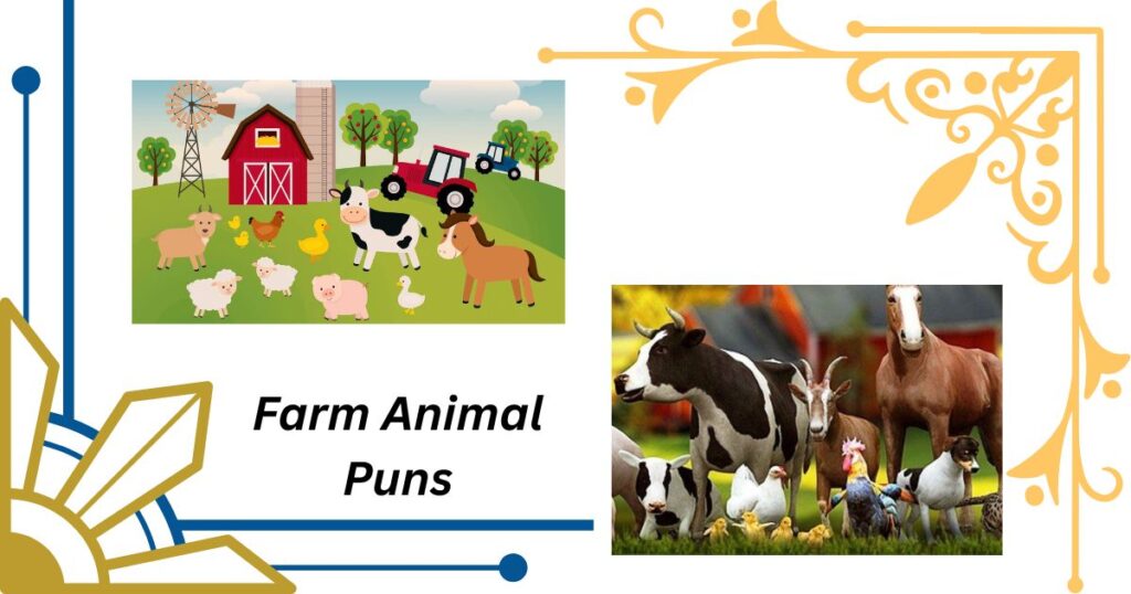 Farm Animal Puns for Country Comedy