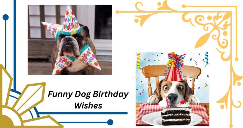 Funny Dog Birthday Wishes That Make Tails Wag