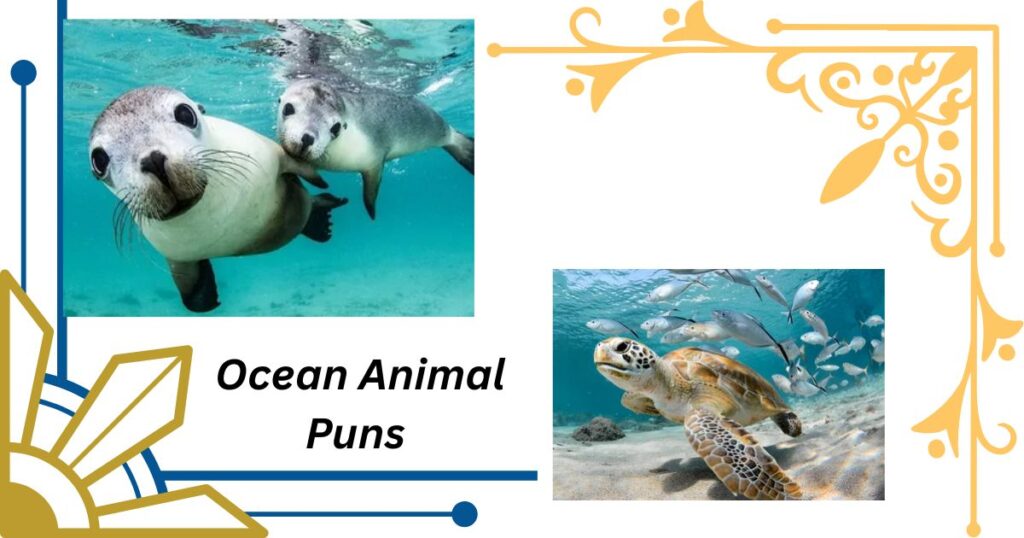 Ocean Animal Puns That Are Fin-tastic