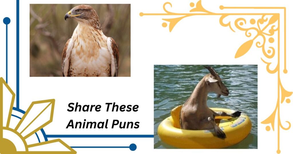 Share These Animal Puns and Spread the Laughter