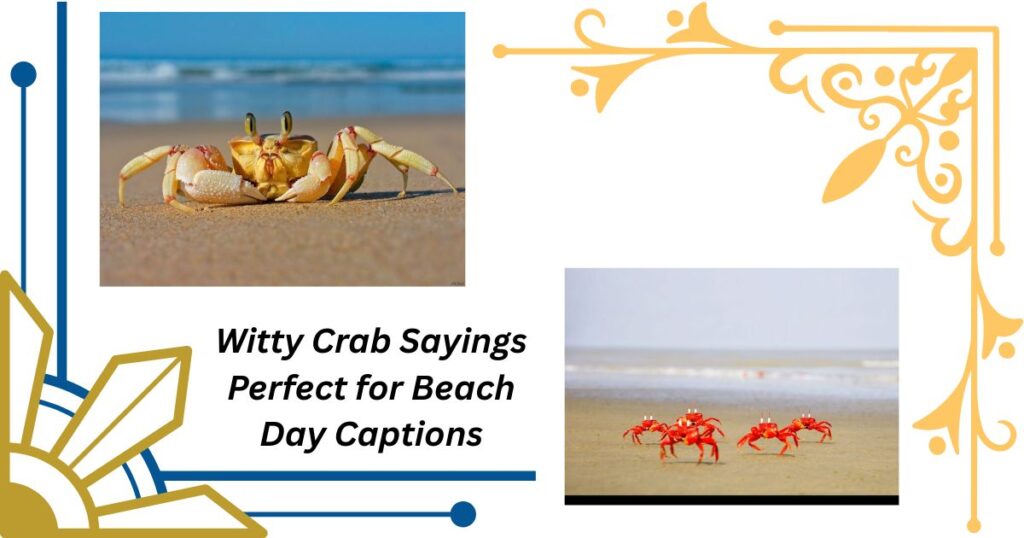 Witty Crab Sayings Perfect for Beach Day Captions