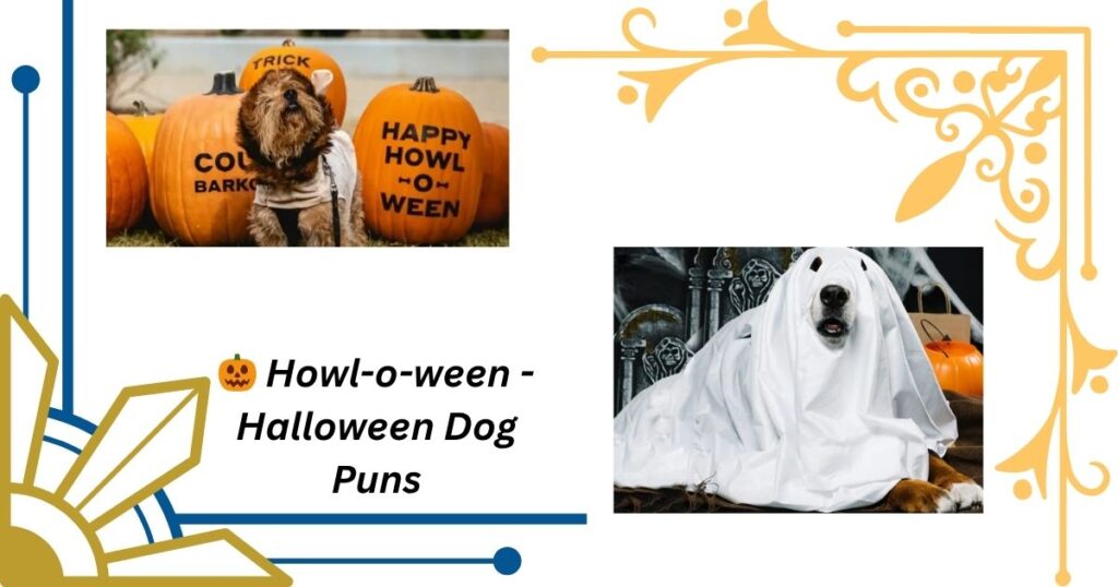 🎃 Howl-o-ween - Halloween Dog Puns