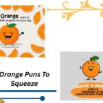 111+ Orange Puns To Squeeze A Little Laughter Into Your Day