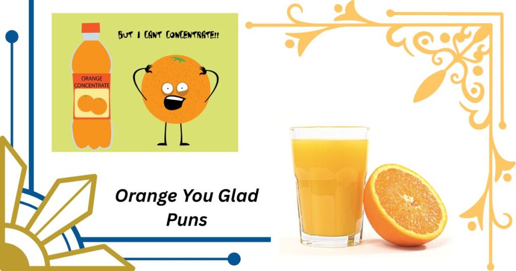 Orange You Glad Puns For Kids And Families
