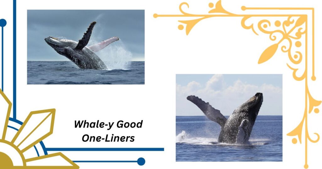 Whale‑y Good One‑Liners for Social Media Posts