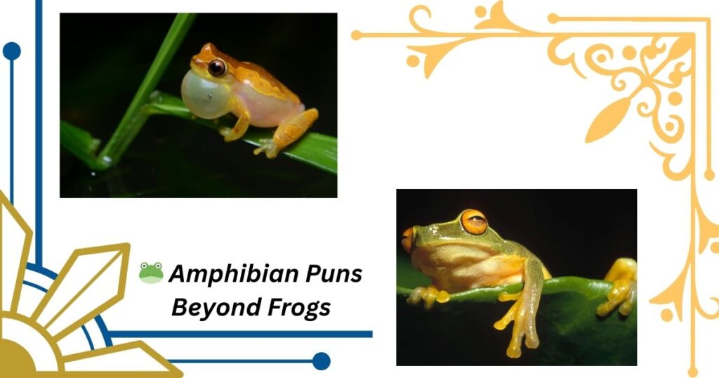 🐸 Amphibian Puns Beyond Frogs