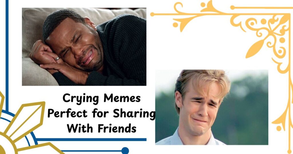 Crying Memes Perfect for Sharing With Friends