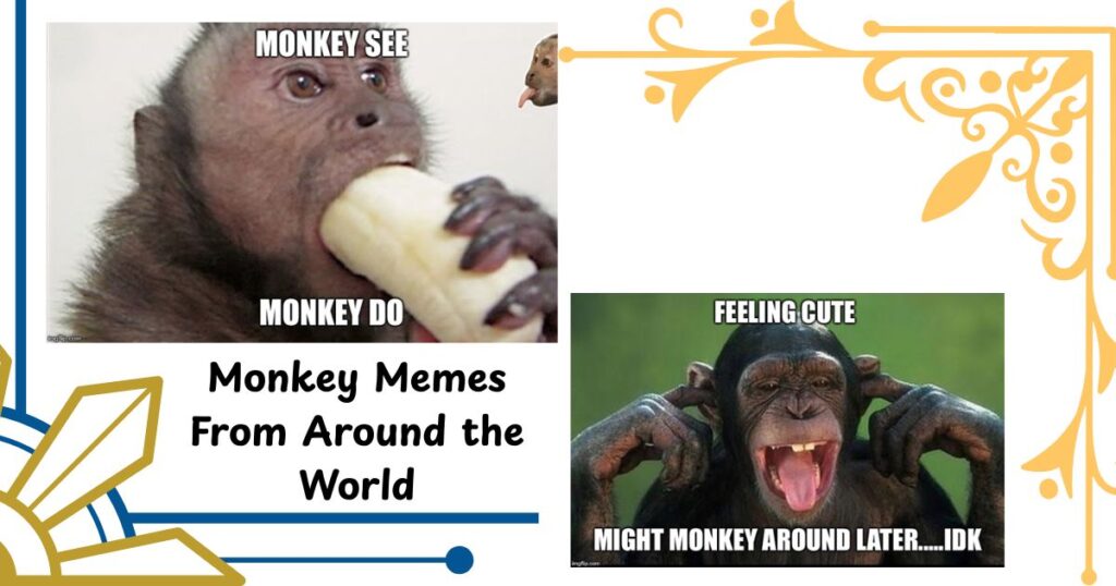 Monkey Memes From Around the World