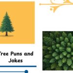 150 Tree Puns and Jokes That Are Funny Fir Real