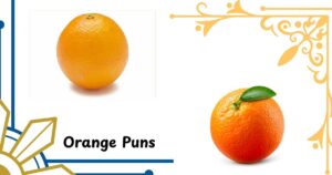 330 Orange Puns: Short, Cute & Funny One-Liner Captions